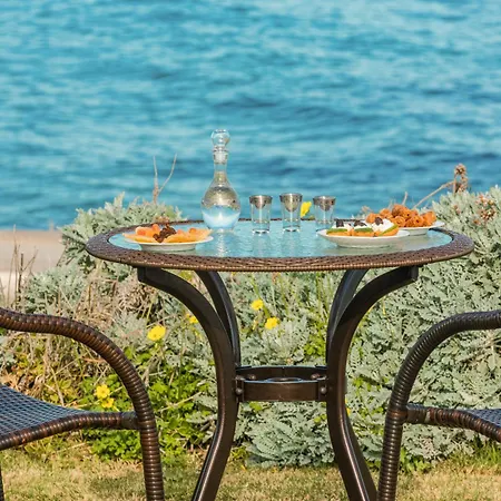 Artemis Beachfront Villa